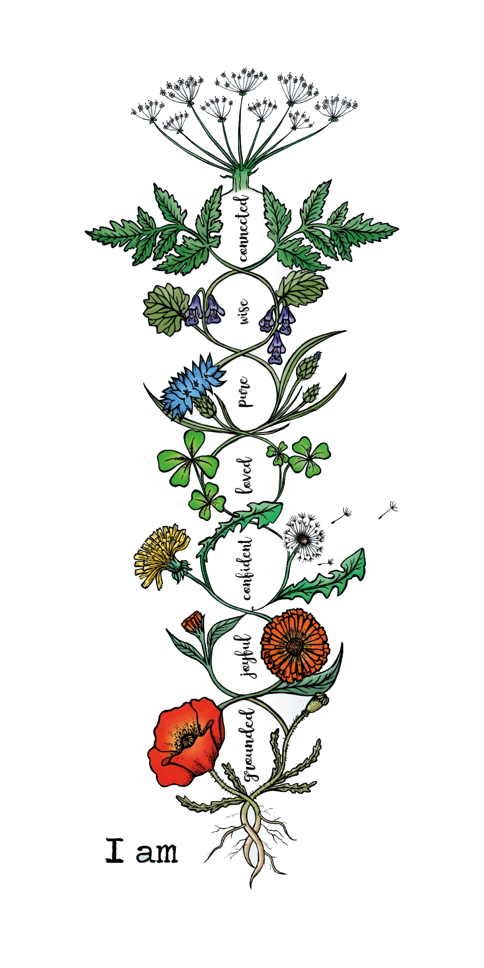 Bloemenkundalini: klaproos, calendula, paardenbloem, rode klaver, korenbloem, hondsroos en fluitkruid met de affirmaties grounded, joyful, confident, loved, pure, wise en connected